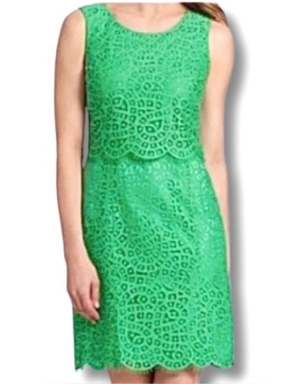 Antonio Melani Sleeveless Green Lace Sheath Dress 4